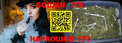 гидра Гатчина