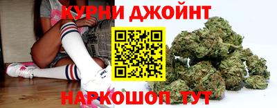 гидра Гатчина